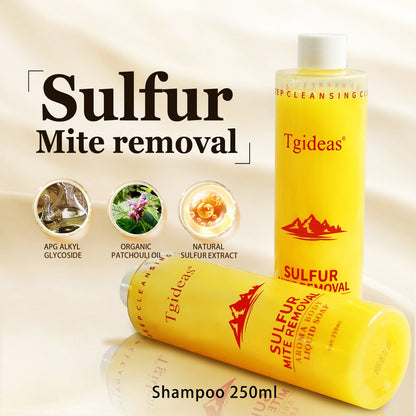 Tgideas All-in-One Sulfur Body Wash & Shampoo