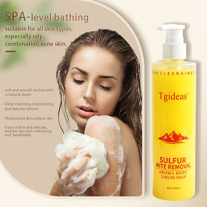 Tgideas All-in-One Sulfur Body Wash & Shampoo