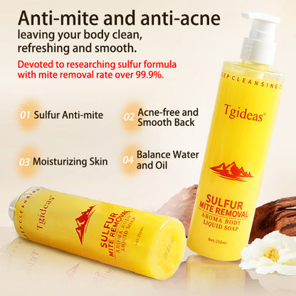Tgideas All-in-One Sulfur Body Wash & Shampoo